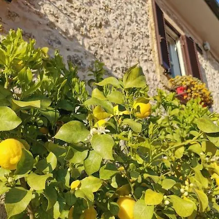 Vakantiehuis Casa Vacanze Minula - Indipendent Country House