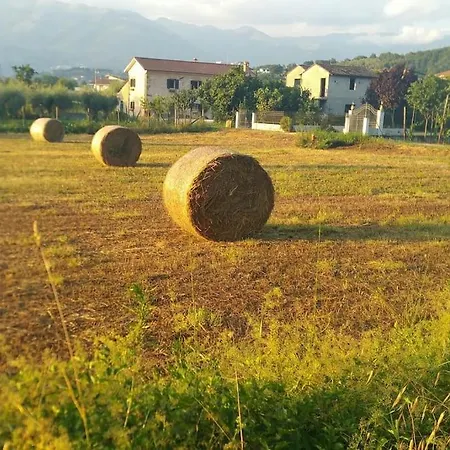 Casa Vacanze Minula - Indipendent Country House *